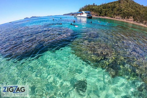 Whitehaven Beach Day Tour With Snorkel In Whitsundays Island - Accommodation Newcastle 5