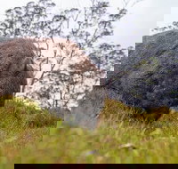 3-Day Cradle Mountain Photography Workshop - Accommodation Newcastle