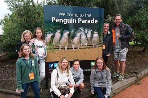 Phillip Island Medium Size Group Tour - Accommodation Newcastle 5