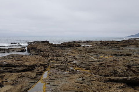Luxury Private Great Ocean Road Tour Up To 11 People - Entire Vehicle - Accommodation Newcastle 1