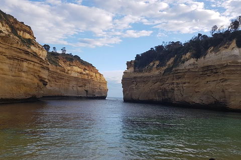 Luxury Private Great Ocean Road Tour Up To 11 People - Entire Vehicle - Accommodation Newcastle 2
