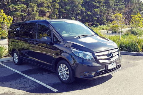 Luxury Private Great Ocean Road Tour Up To 11 People - Entire Vehicle - Accommodation Newcastle 3