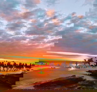 1 Hour Broome Sunset Camel Tour - Accommodation Newcastle