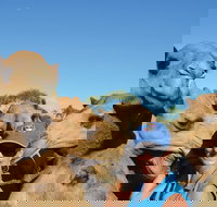 Broome Pre-sunset Camel Tour 30 minutes - Accommodation Newcastle