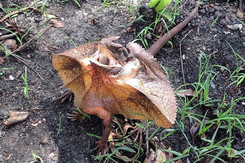 Litchfield National Park And Jumping Crocodile Cruise - Accommodation Newcastle 1