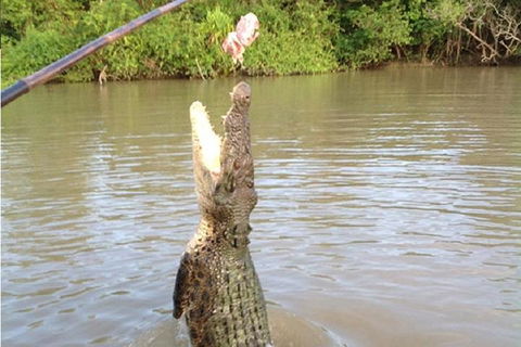 Litchfield National Park And Jumping Crocodile Cruise - Accommodation Newcastle 2