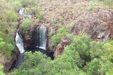 Litchfield National Park And Jumping Crocodile Cruise - Accommodation Newcastle 4