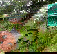 Port Arthur Richmond and Tasman Peninsula Day Trip from Hobart - Accommodation Newcastle