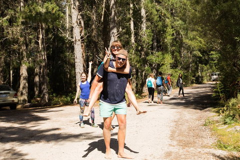 7-Day Best Of Tasmania Adventure Experience From Hobart (flexible Ticket) - Accommodation Newcastle 5