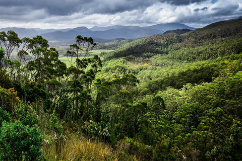 5-Day Lap Of Tasmania Tour From Hobart (flexible Ticket) - Accommodation Newcastle 2