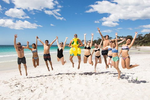 5-Day Lap Of Tasmania Tour From Hobart (flexible Ticket) - Accommodation Newcastle 4