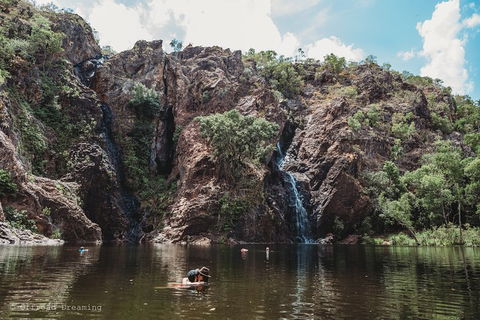 Litchfield National Park Day Tour From Darwin With Waterfalls And Buley Rockhole - Accommodation Newcastle 1