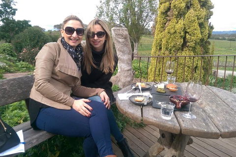 McLaren Vale Intimate Winery Tour By Private Limo - Accommodation Newcastle 4