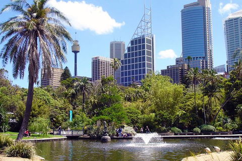 Private Sydney Half Day Tour Including Sydney Opera House And Bondi Beach - Accommodation Newcastle 4