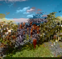 Barossa Valley Private Tour from 2 to 11 people - Accommodation Newcastle