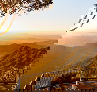 O'Reilly's  Lamington National Park incl. Alpaca Farm  Vineyard - Accommodation Newcastle