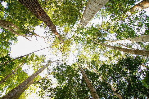 Fraser Island 4WD Tour From Noosa - Accommodation Newcastle 0