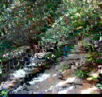 Fraser Island 4WD Tour from Rainbow Beach - Accommodation Newcastle