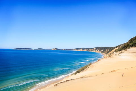Kayak With Dolphins And 4WD Great Beach Drive Day Trip From Noosa - Accommodation Newcastle 0