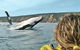 Kayak With Dolphins And 4WD Great Beach Drive Day Trip From Noosa - thumb 3