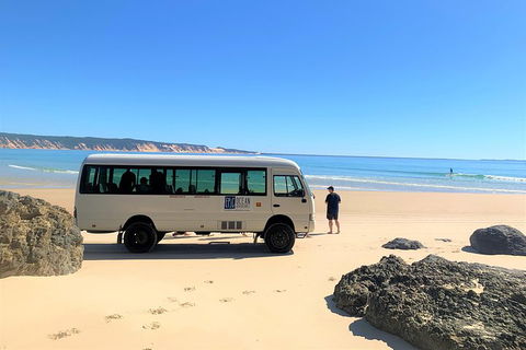 Kayak With Dolphins And 4WD Great Beach Drive Day Trip From Noosa - Accommodation Newcastle 4