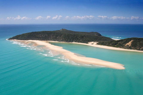 Kayak With Dolphins And 4WD Great Beach Drive Day Trip From Noosa - Accommodation Newcastle 5