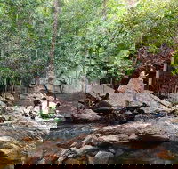 Ethical Adventures - Best in the WET - Litchfield / Kakadu 3 Day- max 10 guests - Accommodation Newcastle