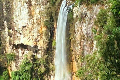 Natural Arch, Rainforest & Volcano Canyon - Private Half Day Tour - Accommodation Newcastle 2