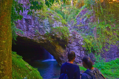 Natural Arch, Rainforest & Volcano Canyon - Private Half Day Tour - Accommodation Newcastle 4