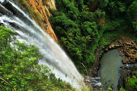 Natural Arch, Rainforest & Volcano Canyon - Private Half Day Tour - Accommodation Newcastle 5
