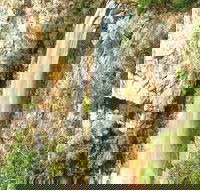 Private Tour - Rainforest  Waterfalls Extravaganza - Accommodation Newcastle