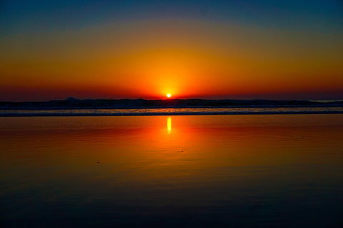 Glow Worms Private Tour - Nocturnal Rainforest Walk - Accommodation Newcastle 3