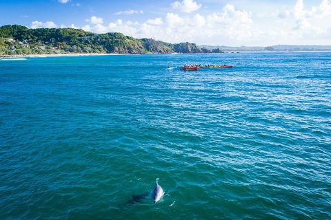 The Byron Bay Sea Kayak Tour - Accommodation Newcastle 2