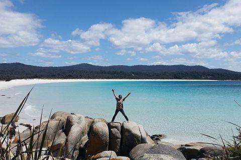 Tasmania 4 Day East Coast + Launceston - Accommodation Newcastle 1
