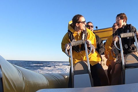 Noosa Oceanrider - Adventure Tour - Accommodation Newcastle 0