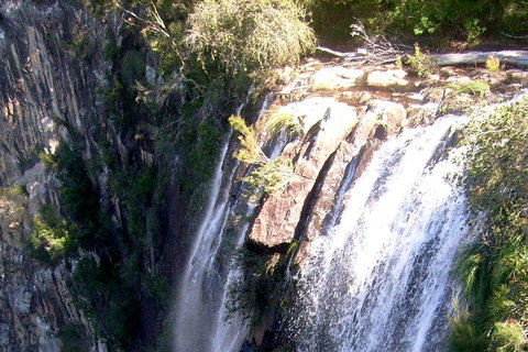 Byron Bay Combo: Hinterland Tour Including Minyon Falls And Kayaking With Dolphins - Accommodation Newcastle 3