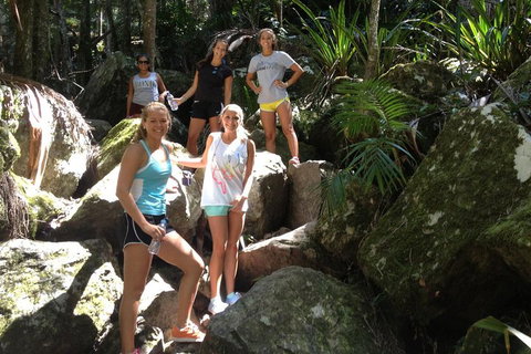 Byron Bay Combo: Hinterland Tour Including Minyon Falls And Kayaking With Dolphins - Accommodation Newcastle 4