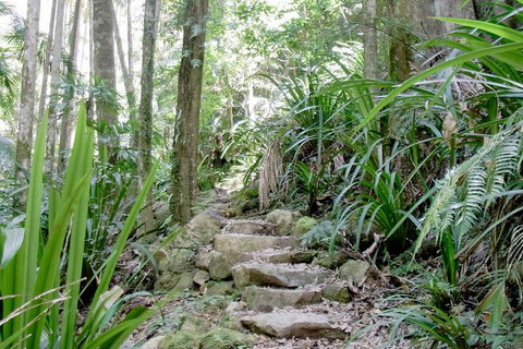 Byron Bay Combo: Hinterland Tour Including Minyon Falls And Kayaking With Dolphins - Accommodation Newcastle 5