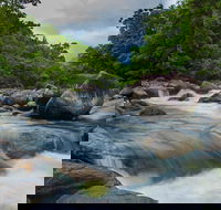 Cape Tribulation Day Tour - Accommodation Newcastle