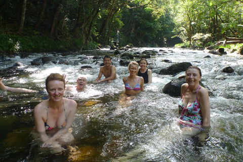 Daintree Rainforest, Cape Tribulation, Mossman Gorge Small-Group Day Tour - Accommodation Newcastle 0