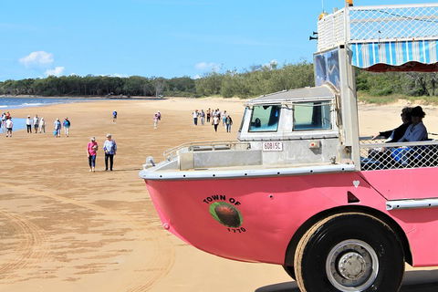 1770 Coastline Tour By LARC Amphibious Vehicle Including Picnic Lunch - Accommodation Newcastle 0