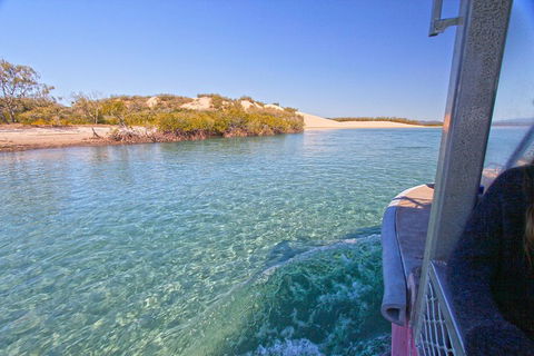 1770 Coastline Tour By LARC Amphibious Vehicle Including Picnic Lunch - Accommodation Newcastle 5