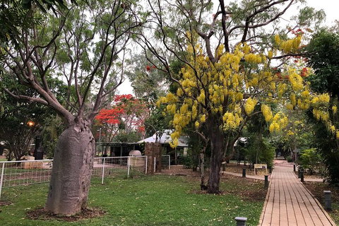 Gorgeous Gorges Tour - Windjana & Bell Gorge, Mt Hart, Cape Leveque - Accommodation Newcastle 3