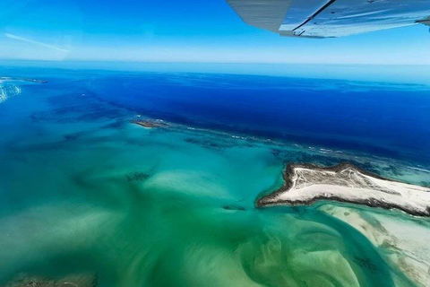 Wet Season Incredible Islands Tour - Horizontal Falls & Cygnet Bay Pearl Farm - Accommodation Newcastle 4