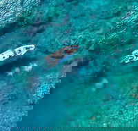 Premium Private Charter - Accommodation Newcastle