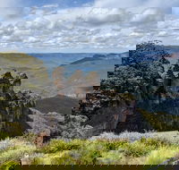 Blue Mountains Private Tour - wild kangaroos waterfalls and The Three Sisters - Accommodation Newcastle