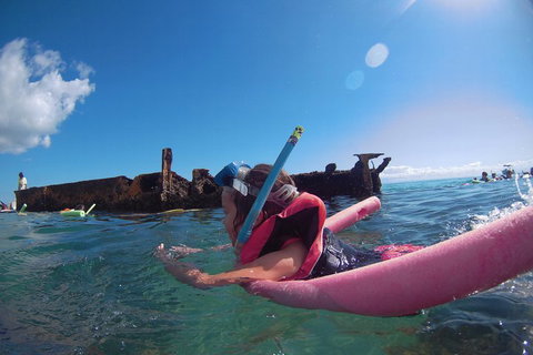 All Inclusive Dolphin And Tangalooma Wrecks Cruise - Accommodation Newcastle 2