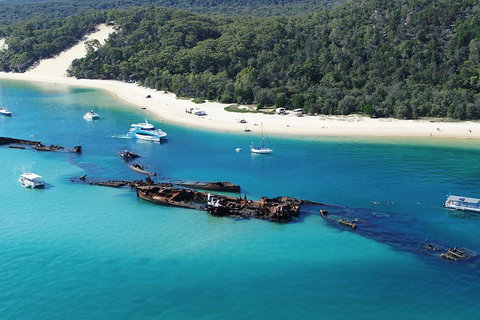 All Inclusive Dolphin And Tangalooma Wrecks Cruise - Accommodation Newcastle 4