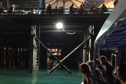 Darwin Sunset Cruise Including Fish 'n' Chips - Accommodation Newcastle 0
