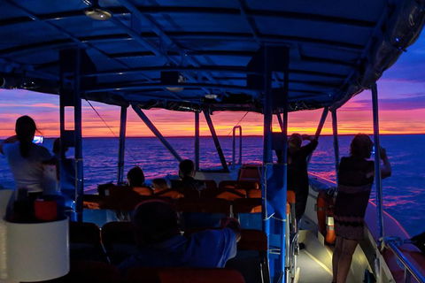 Darwin Sunset Cruise Including Fish 'n' Chips - Accommodation Newcastle 1